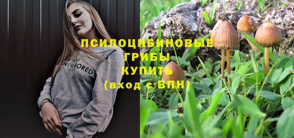 СК Карпинск