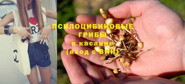 метадон Карталы